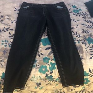 Lane Bryant Tighter Tummy Jeans